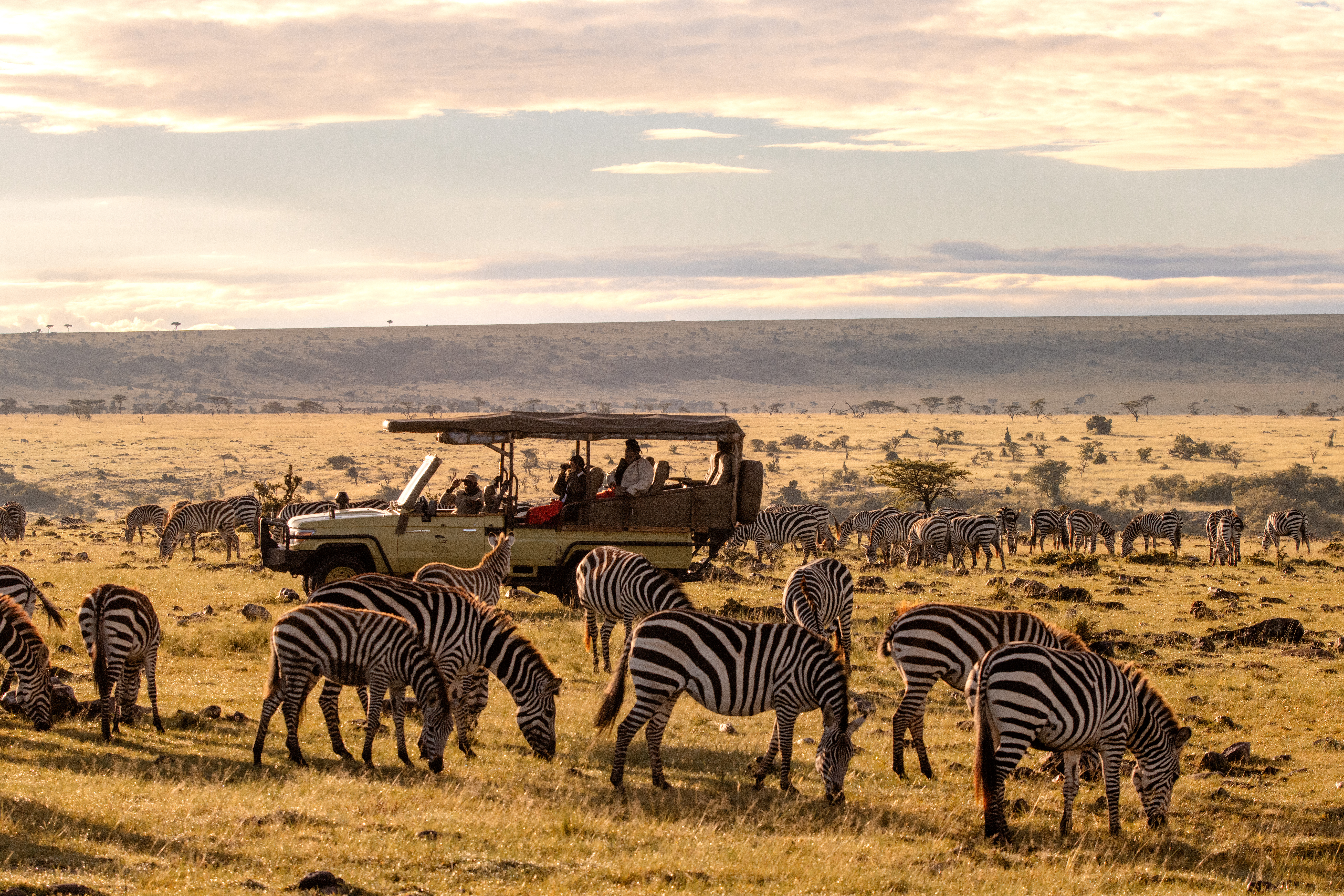 5 Night Luxury Escape with Iconic Game Drives and Serene Ocean Nights