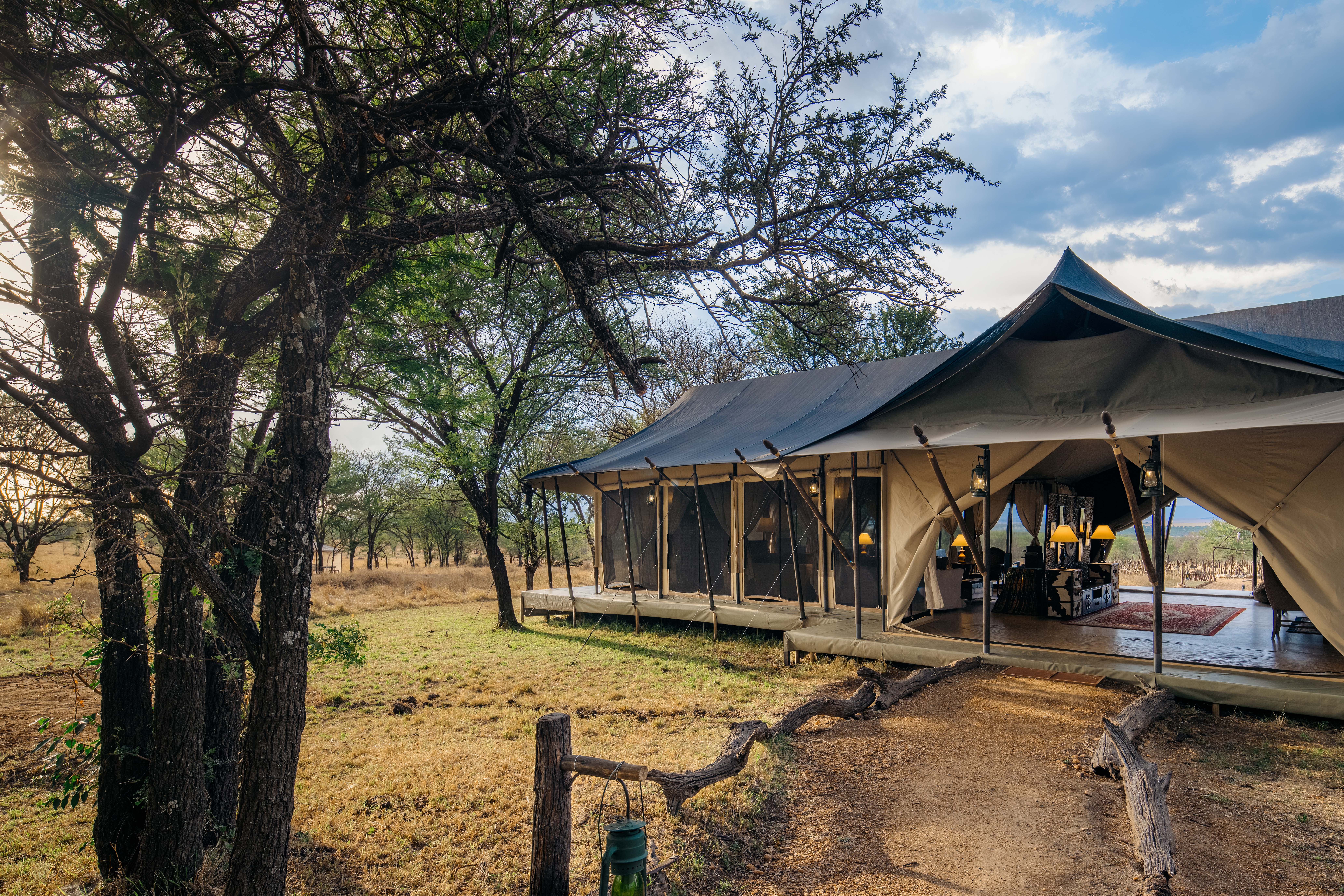 Luxury In Serengeti: 5 Nights of Luxury In Serengeti Wilderness with 10% OFF.