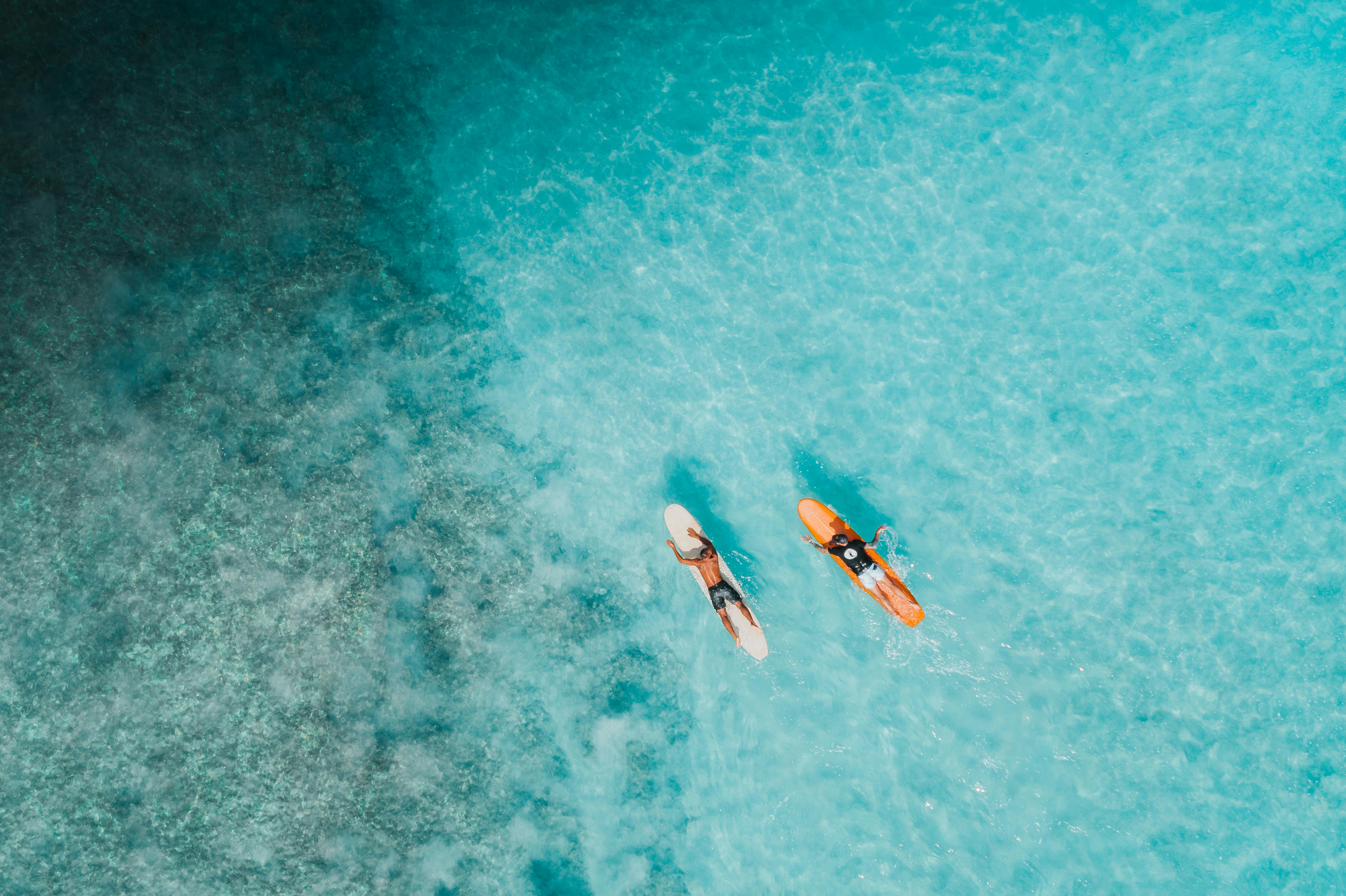 Moonlit Sands of the Maldives | 7-Nights of Snorkeling with Turtles, Island-Hopping Adventures, and Dolphin Encounters in the Maldives.